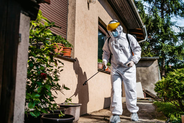 Best Wasp Removal Services  in Hanna City, IL