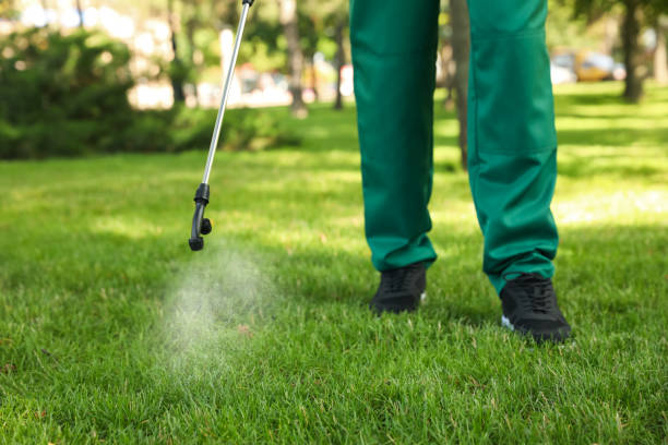 Best Pest Inspection Near Me  in Hanna City, IL