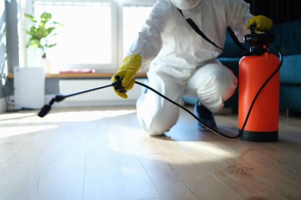 Best Residential Pest Control  in Hanna City, IL