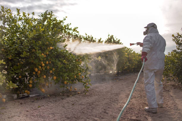 Best Best Pest Control Companies  in Hanna City, IL