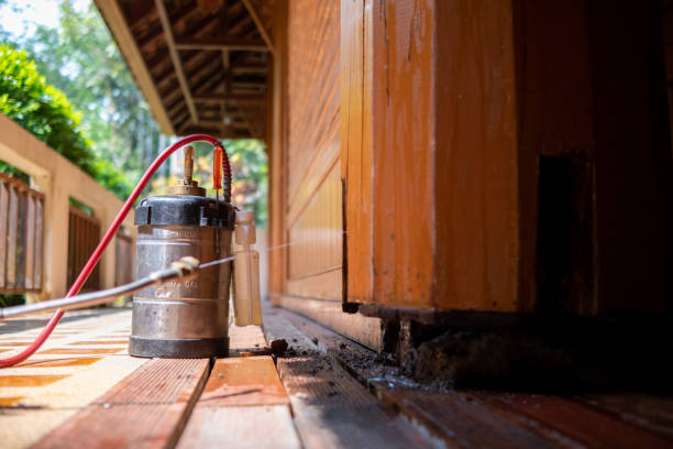 Best Termite Control Services  in Hanna City, IL
