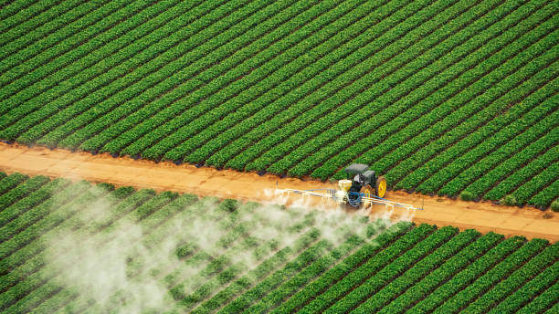 Best Insect Control  in Hanna City, IL