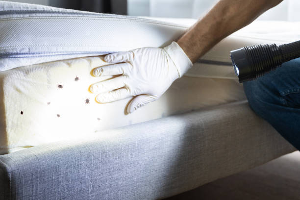 Best Pest Control Near Me  in Hanna City, IL