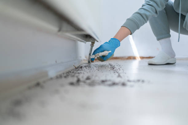 Best Pest Removal Services  in Hanna City, IL