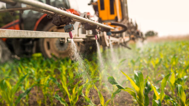 Professional Pest Control in Hanna City, IL